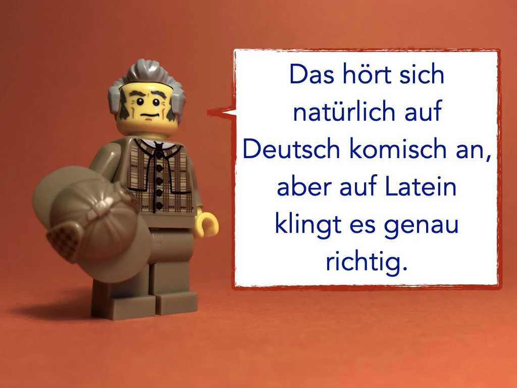 German Disco 2.019.jpeg