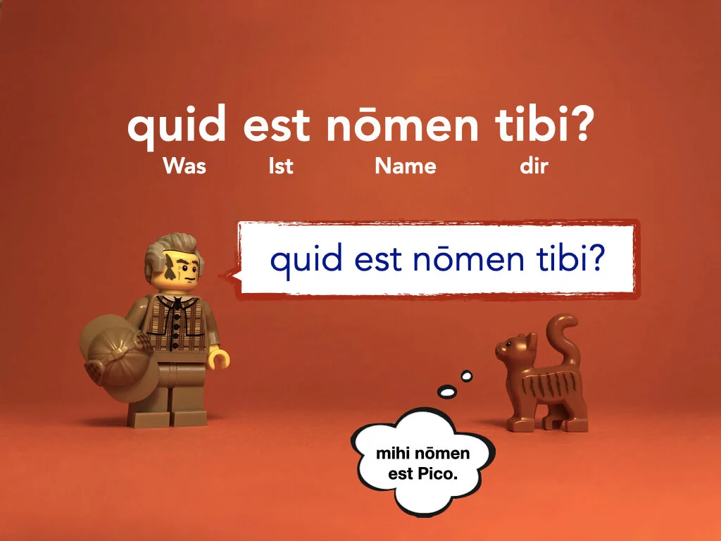 German Disco 2.035.jpeg