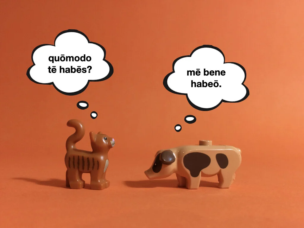 German Disco 3.020.jpeg