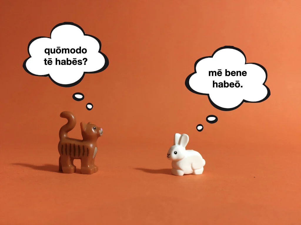 German Disco 3.023.jpeg