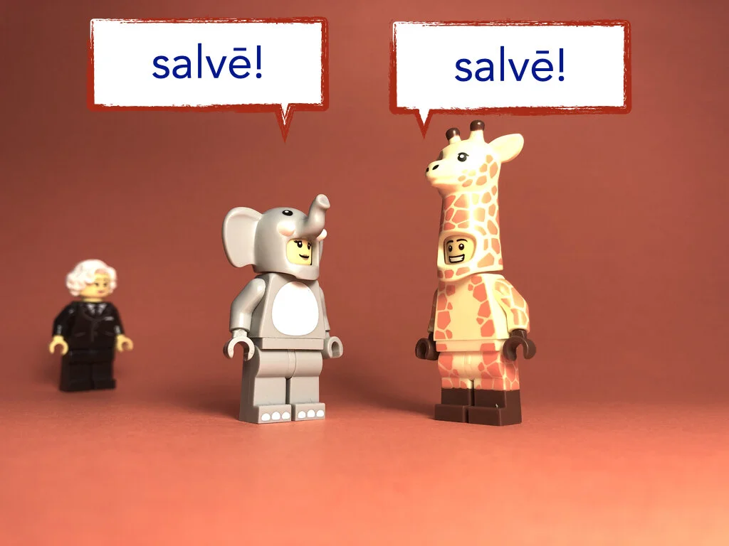 German Disco 3.035.jpeg