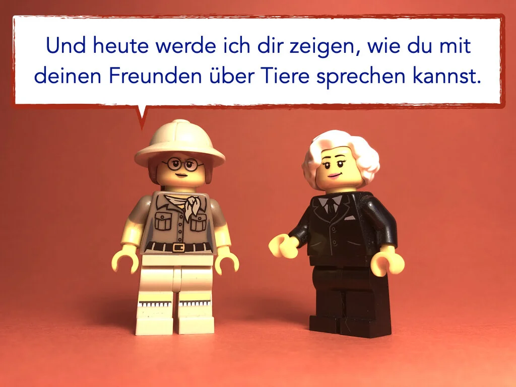 German Disco 4.010.jpeg