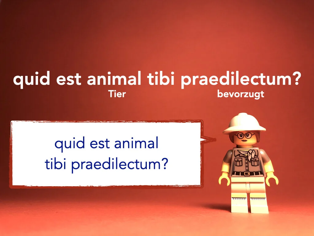 German Disco 4.016.jpeg