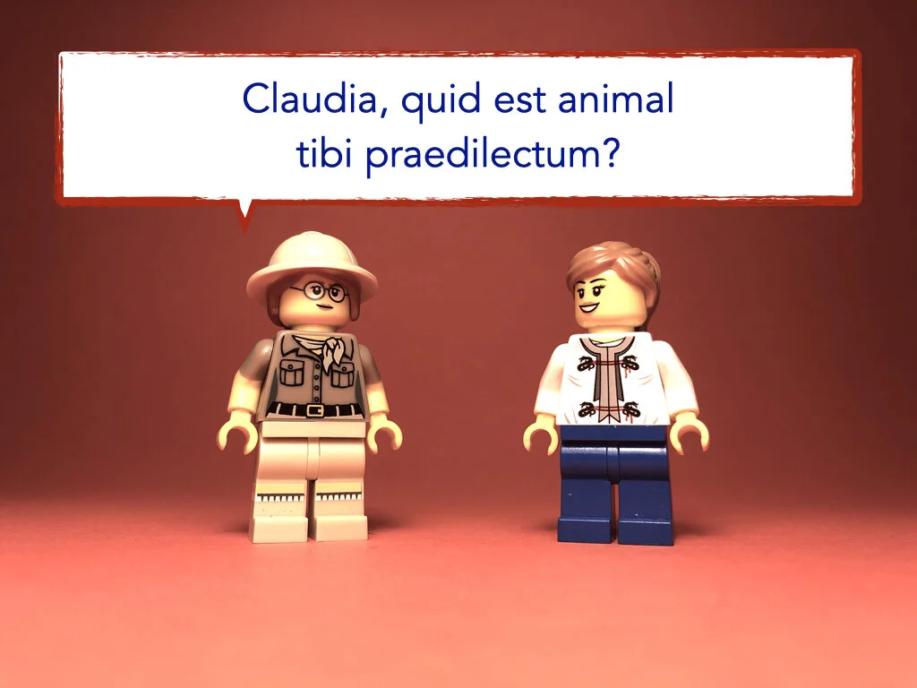 German Disco 4.023.jpeg