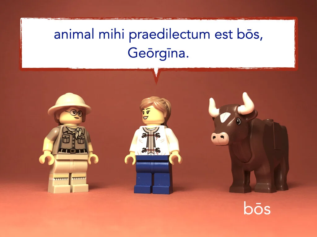 German Disco 4.024.jpeg