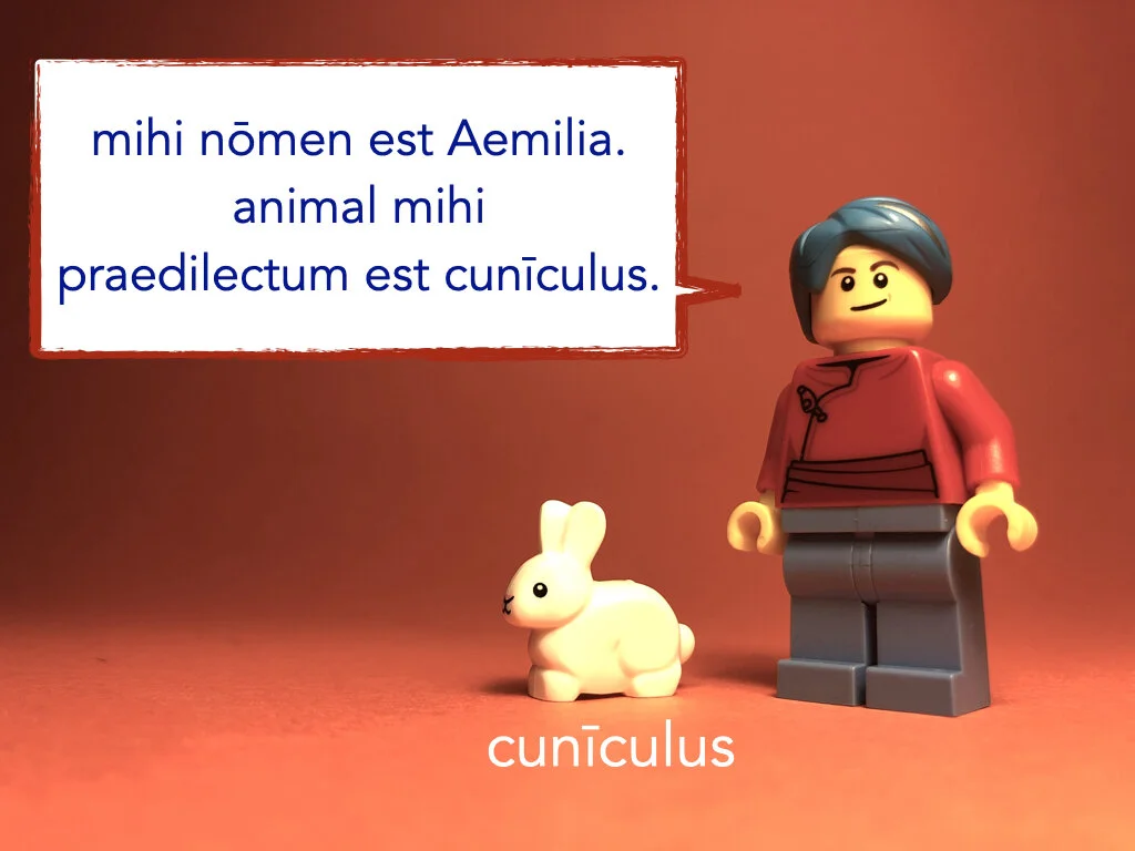 German Disco 4.030.jpeg