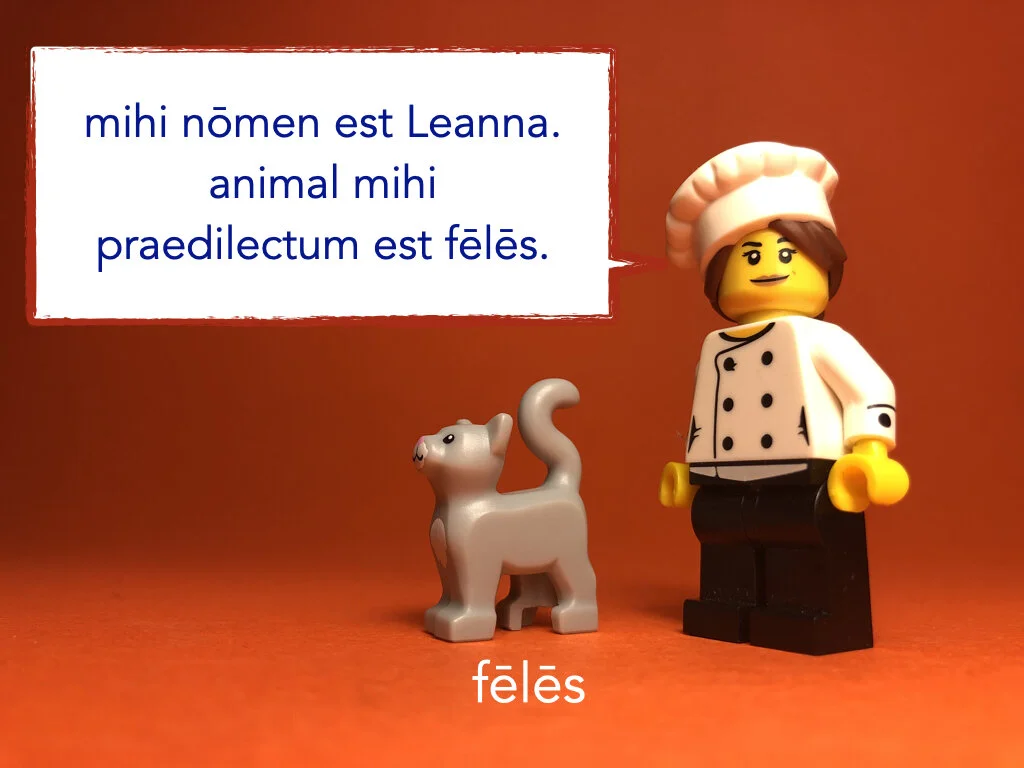 German Disco 4.031.jpeg