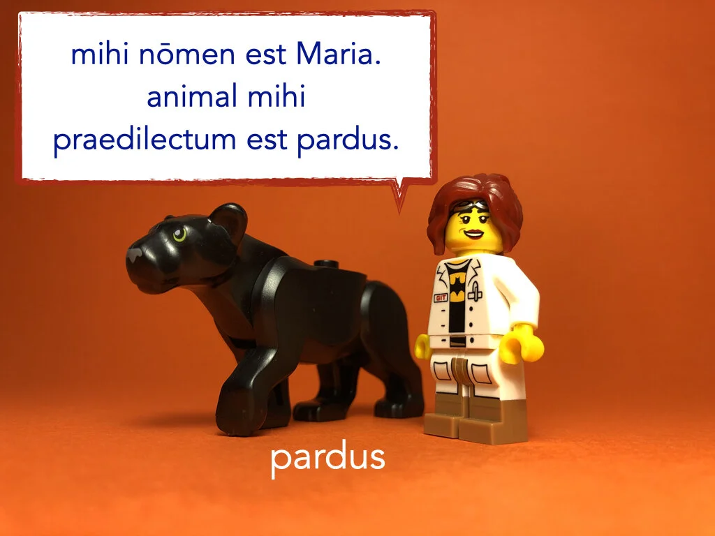 German Disco 4.035.jpeg