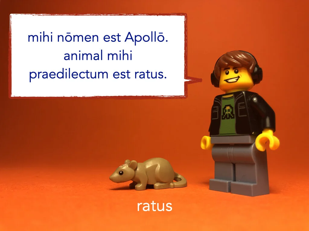 German Disco 4.037.jpeg