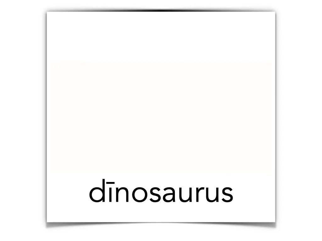 German Disco 4.040.jpeg