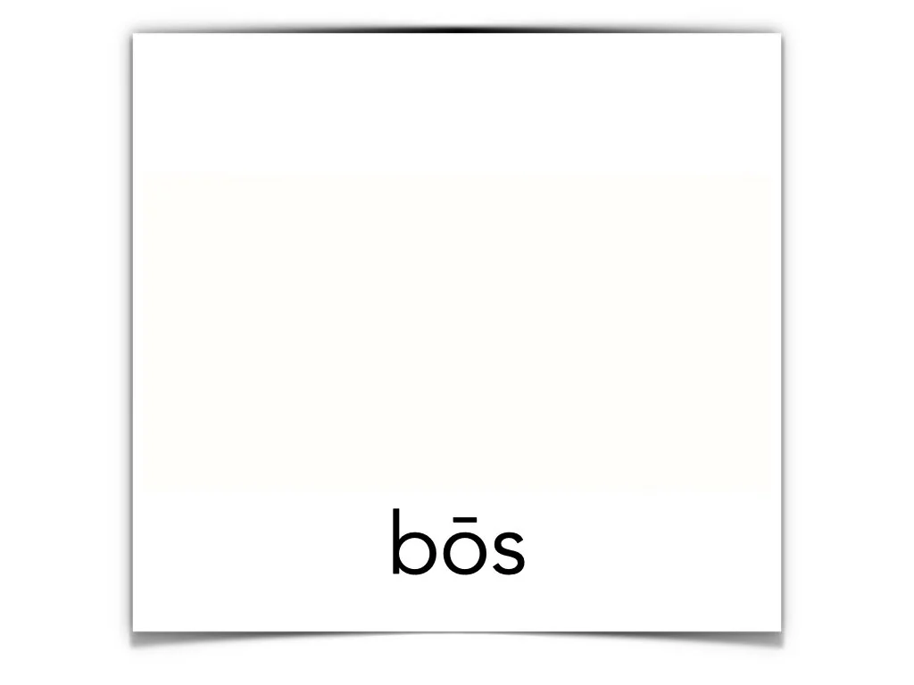 German Disco 4.042.jpeg