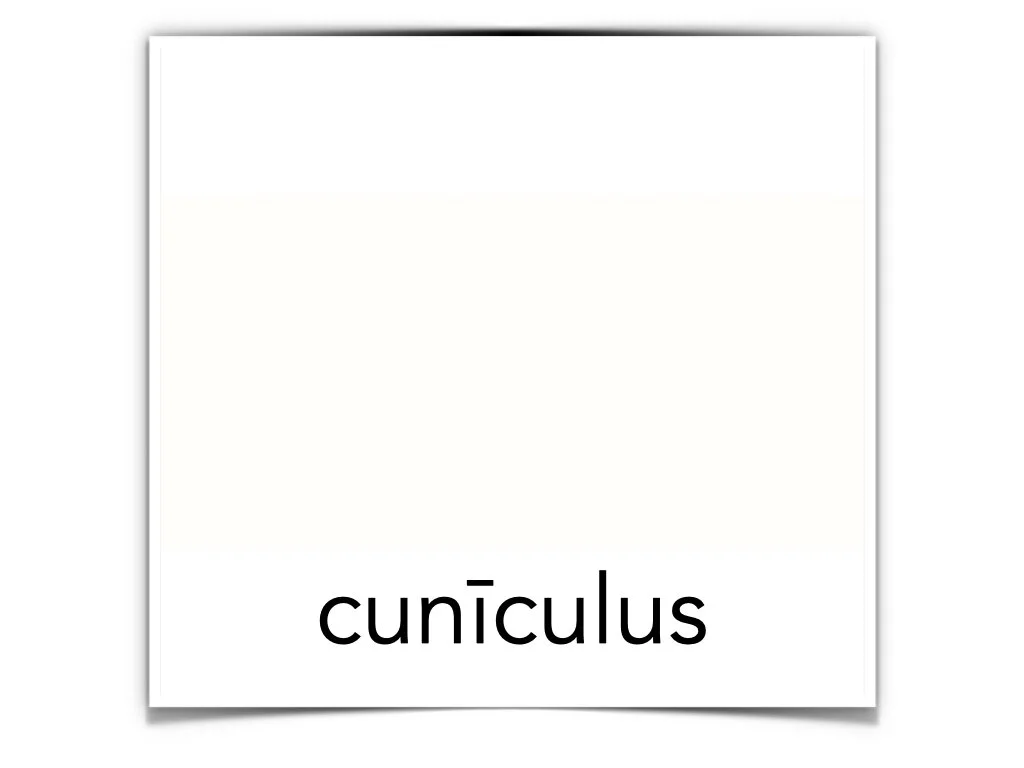 German Disco 4.044.jpeg