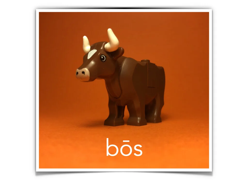 German Disco 4.043.jpeg