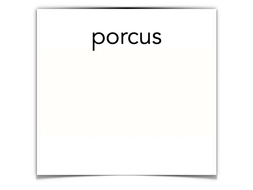 German Disco 4.048.jpeg