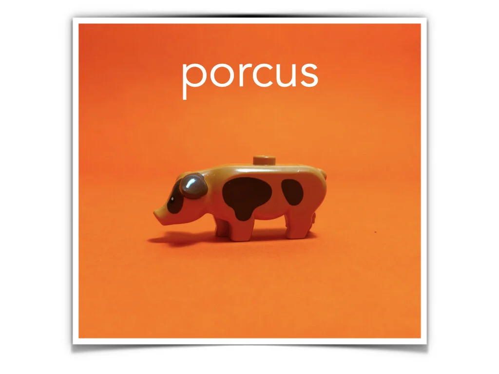 German Disco 4.049.jpeg