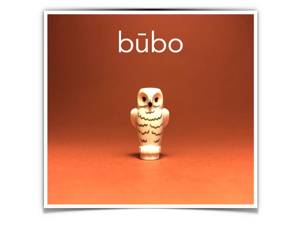 German Disco 4.051.jpeg