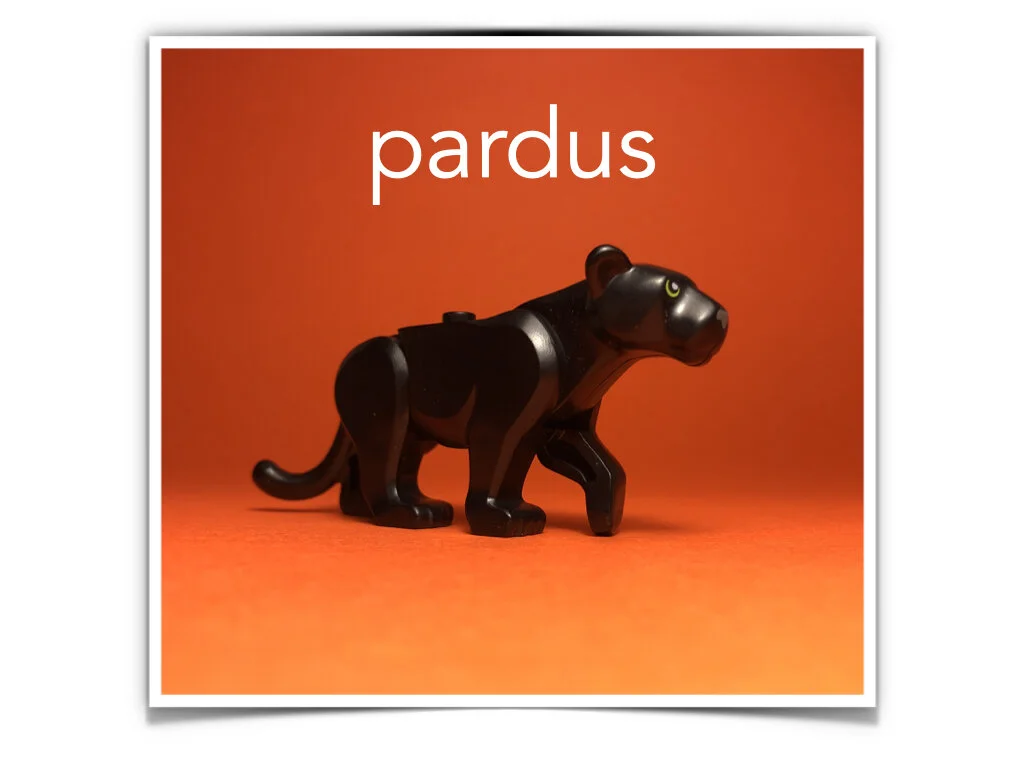 German Disco 4.053.jpeg