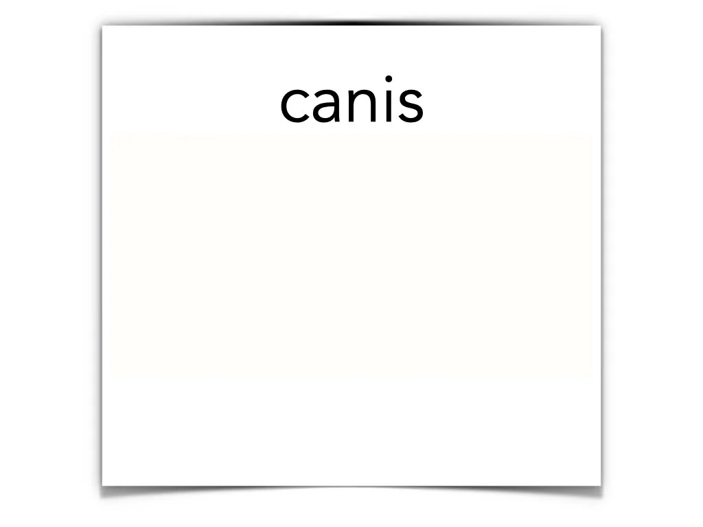 German Disco 4.056.jpeg