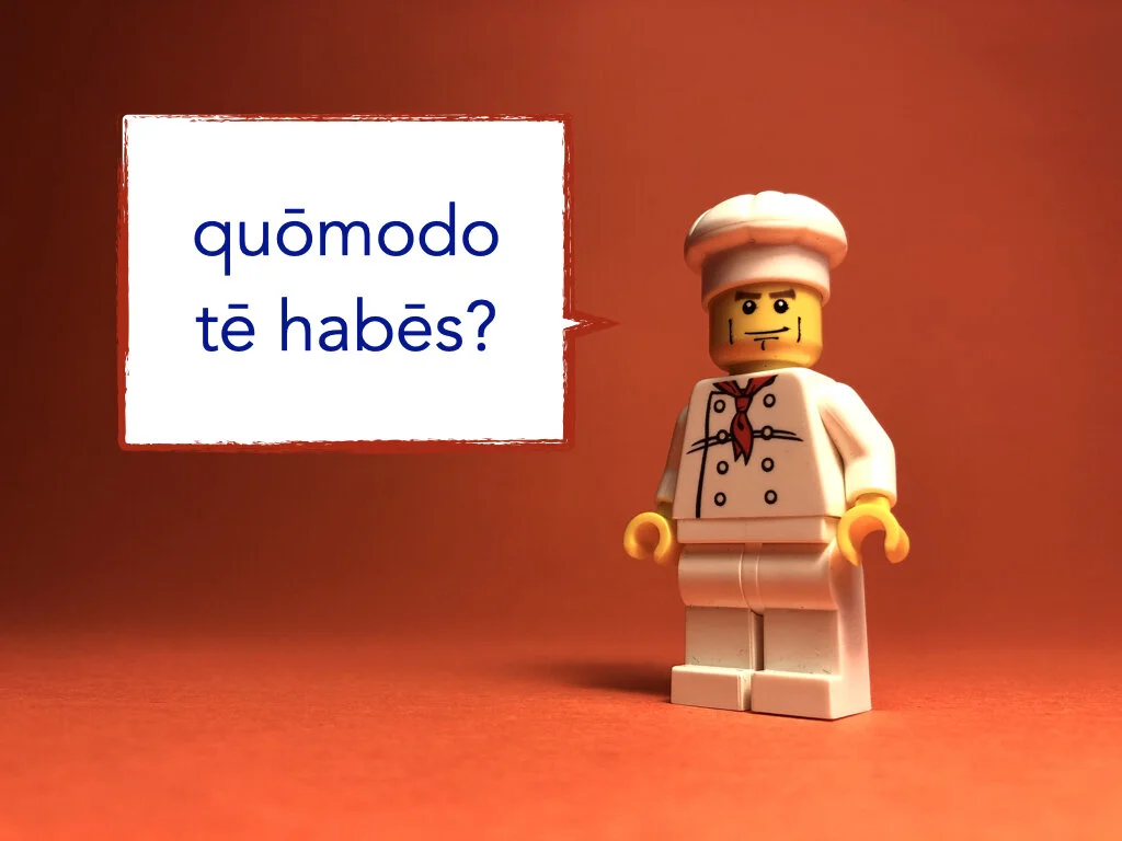 German Disco 5.007.jpeg