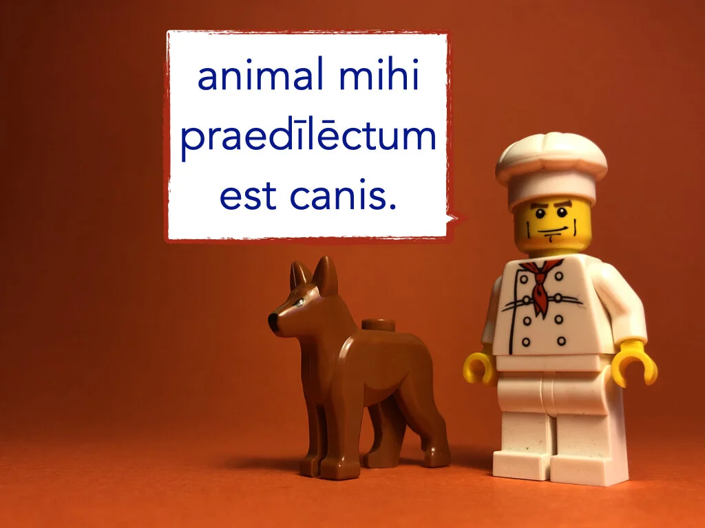 German Disco 5.010.jpeg