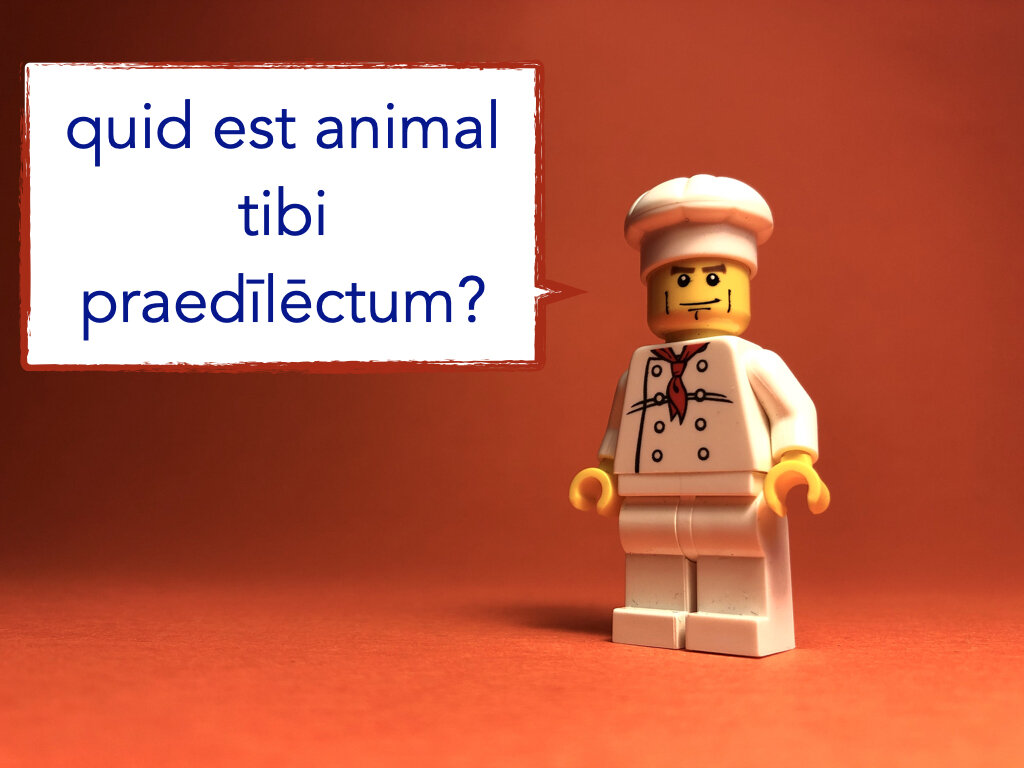 German Disco 5.011.jpeg