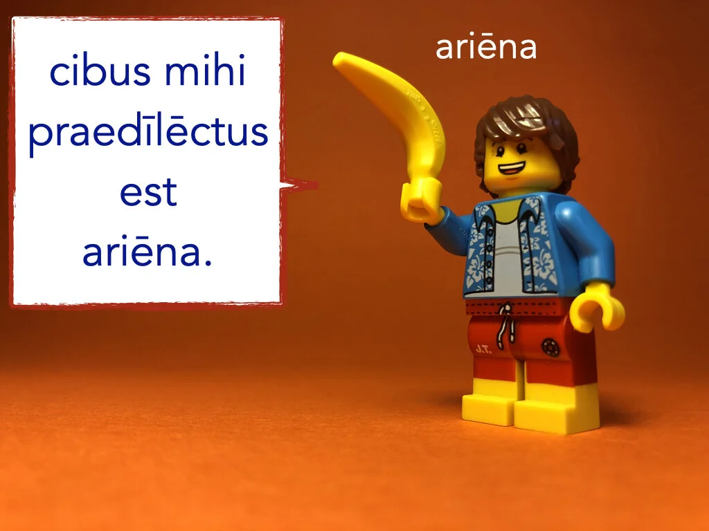 German Disco 5.035.jpeg