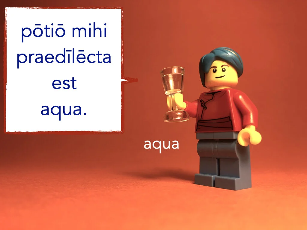 German Disco 5.050.jpeg