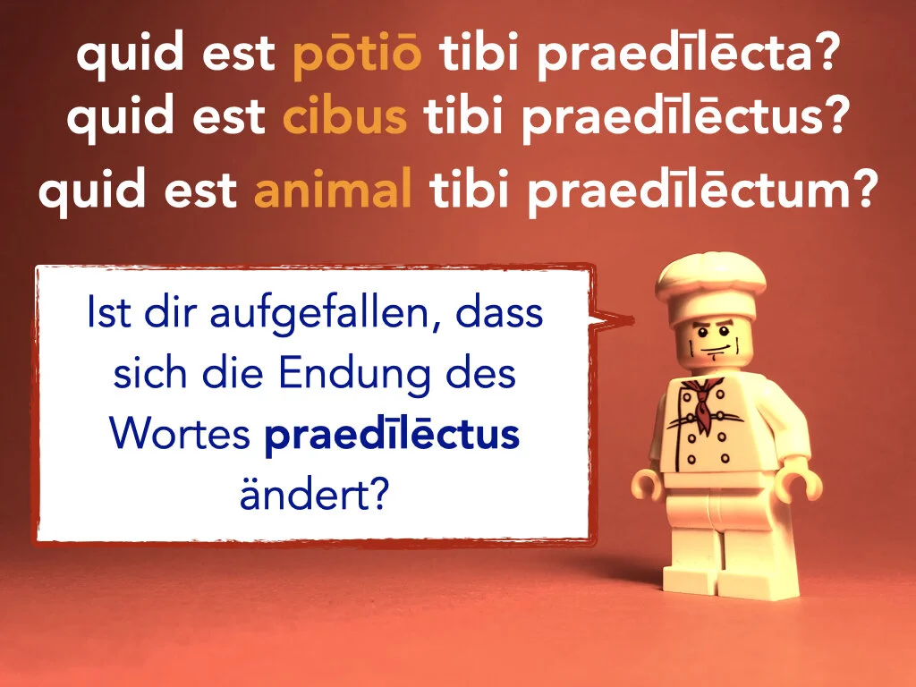 German Disco 5.057.jpeg