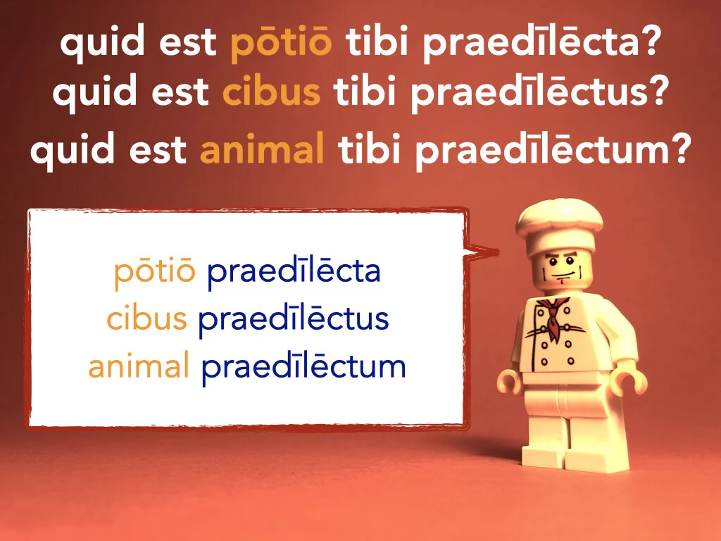 German Disco 5.058.jpeg