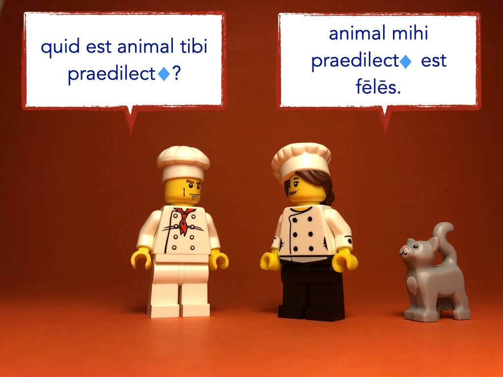 German Disco 5.066.jpeg