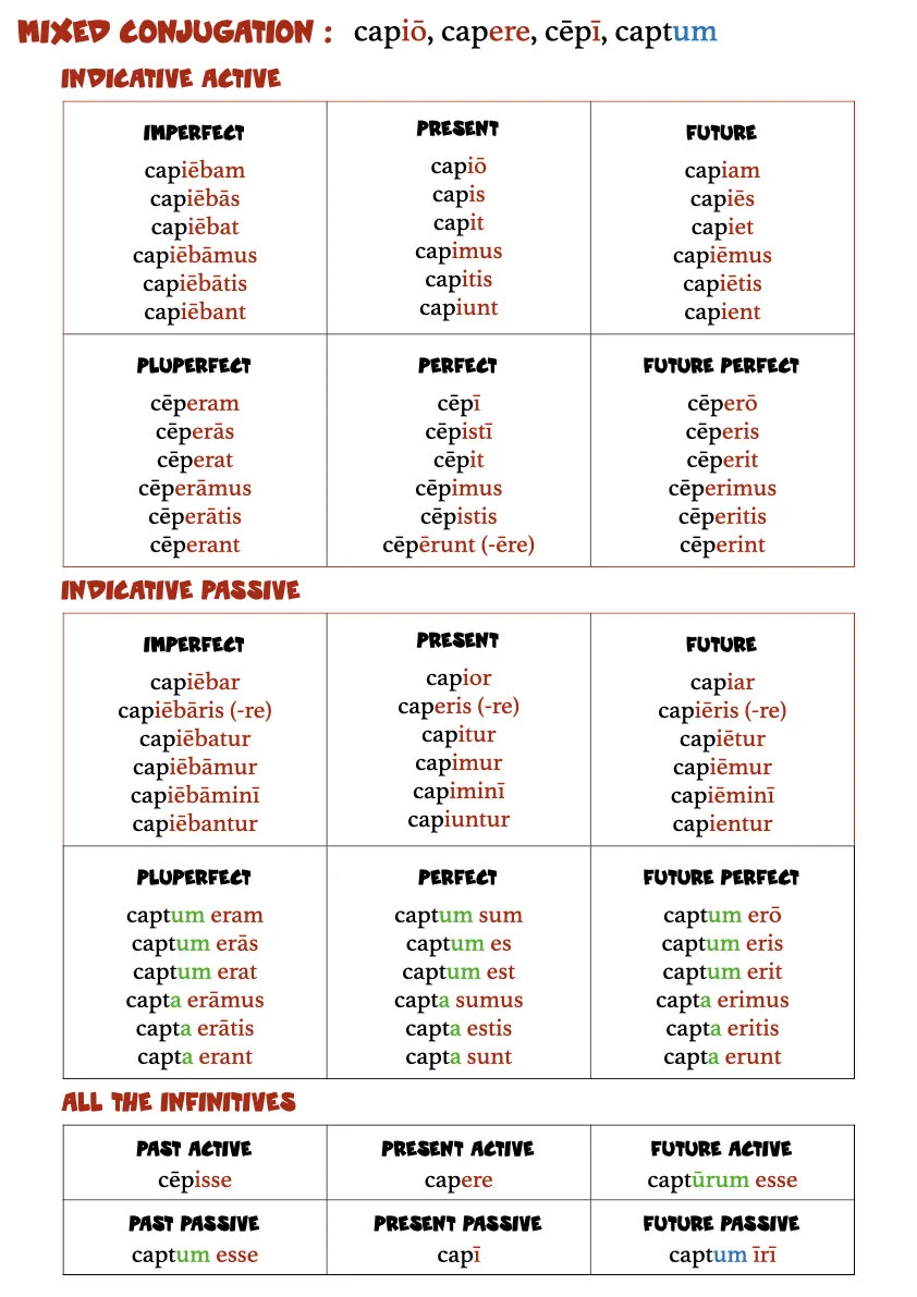 A Book of Latin Verb Tables.012.jpeg