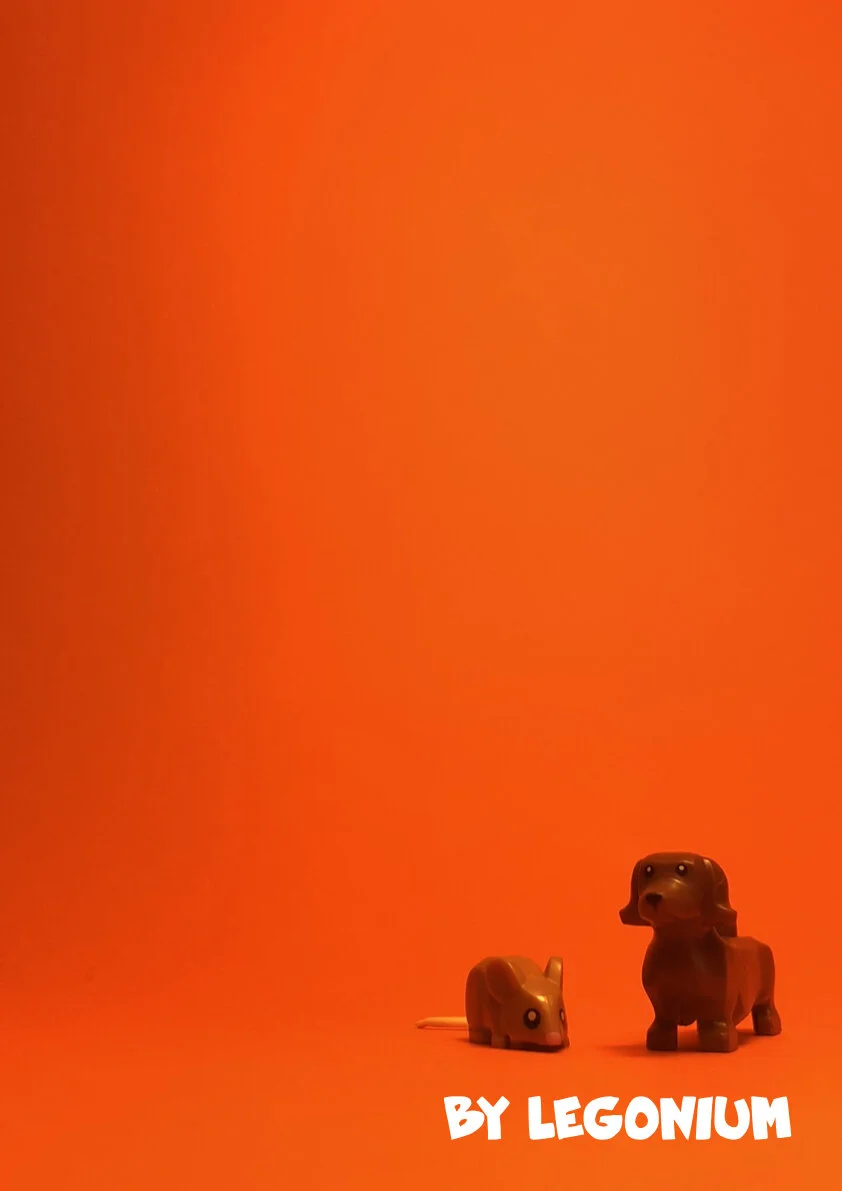 A Book of Latin Verb Tables.036.jpeg