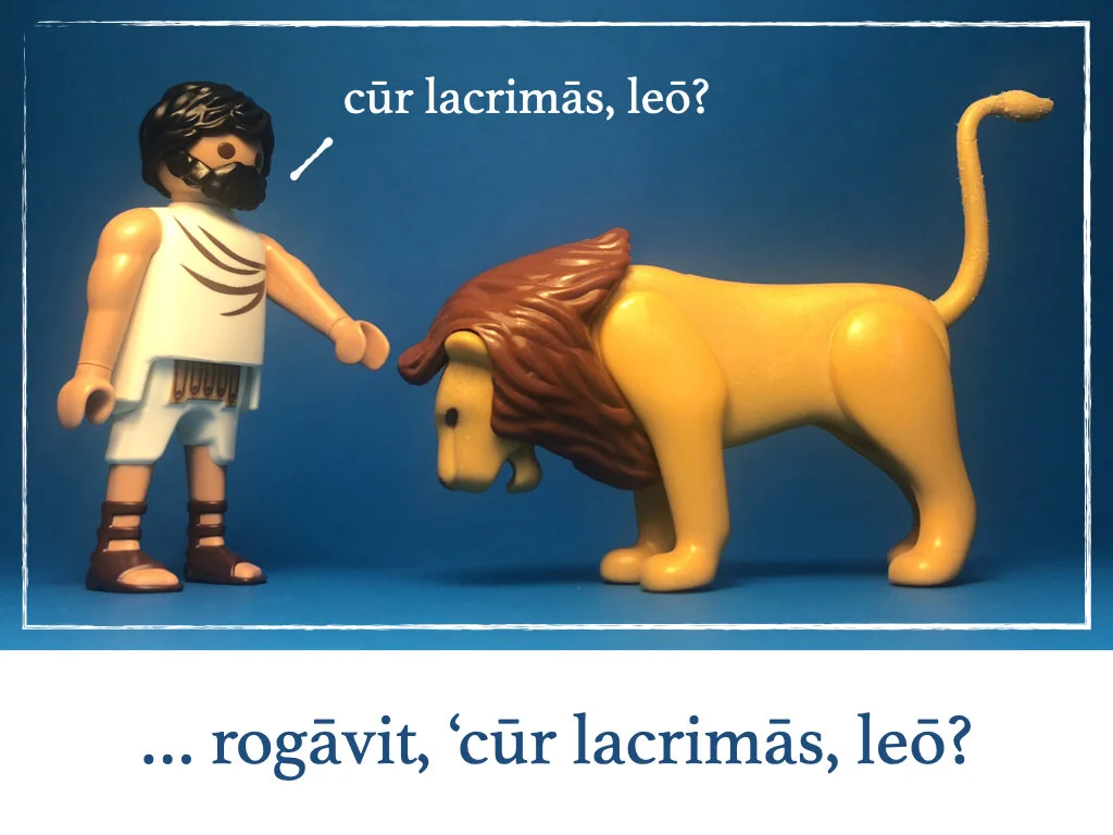 pastor et leo.007.jpeg