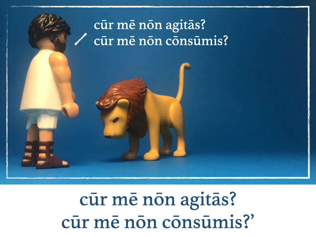 pastor et leo.008.jpeg