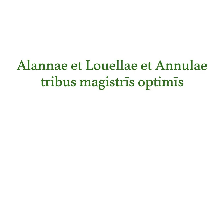 homines Legonii 1 - Livia.004.jpeg