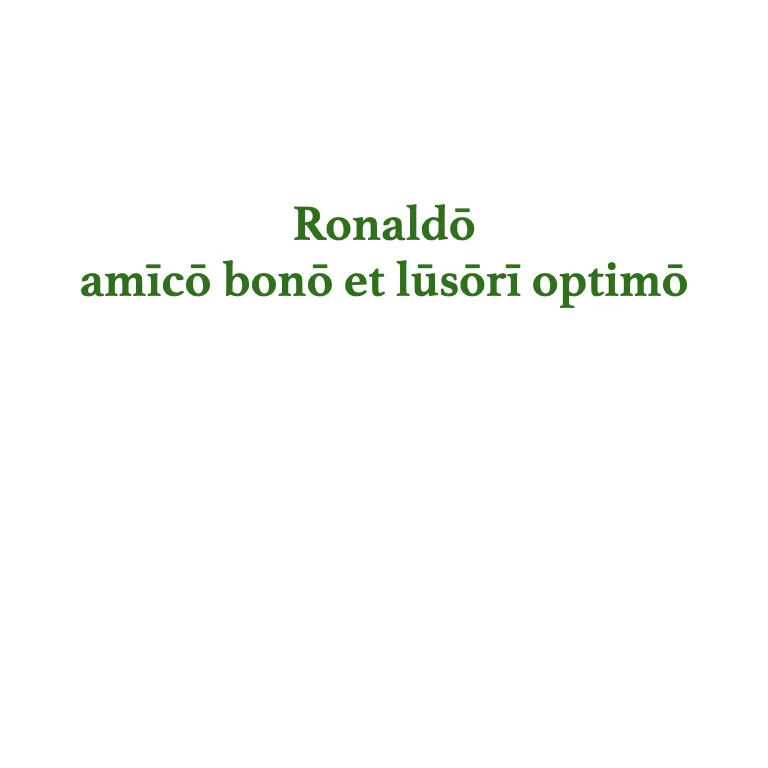 homines Legonii 4 - Ronaldus.004.jpeg