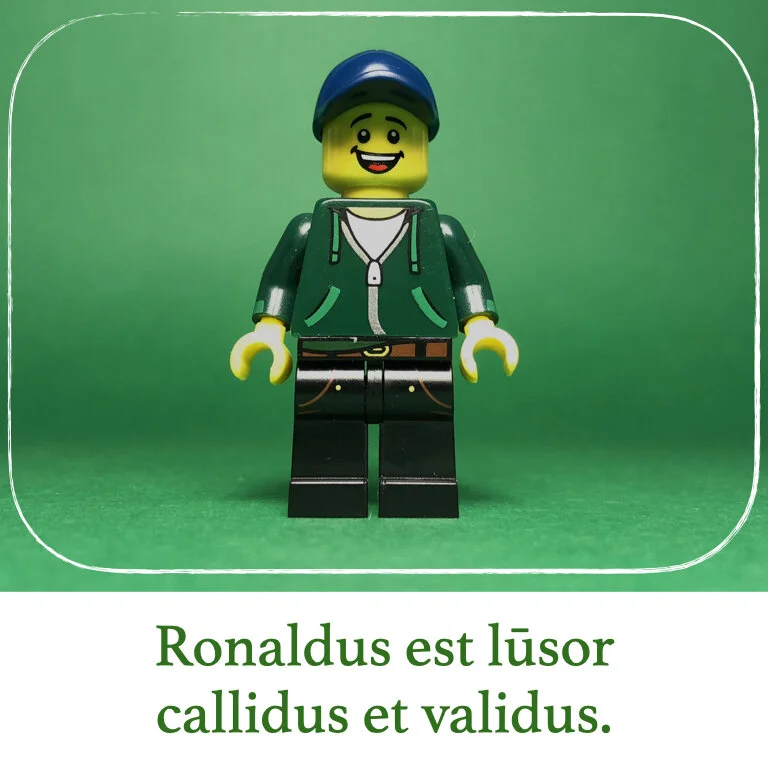 homines Legonii 4 - Ronaldus.009.jpeg