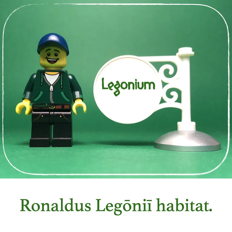 homines Legonii 4 - Ronaldus.010.jpeg