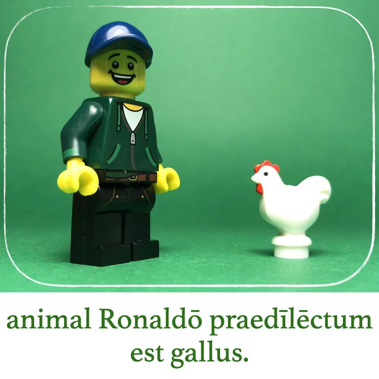 homines Legonii 4 - Ronaldus.013.jpeg