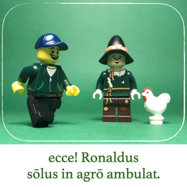 homines Legonii 4 - Ronaldus.015.jpeg