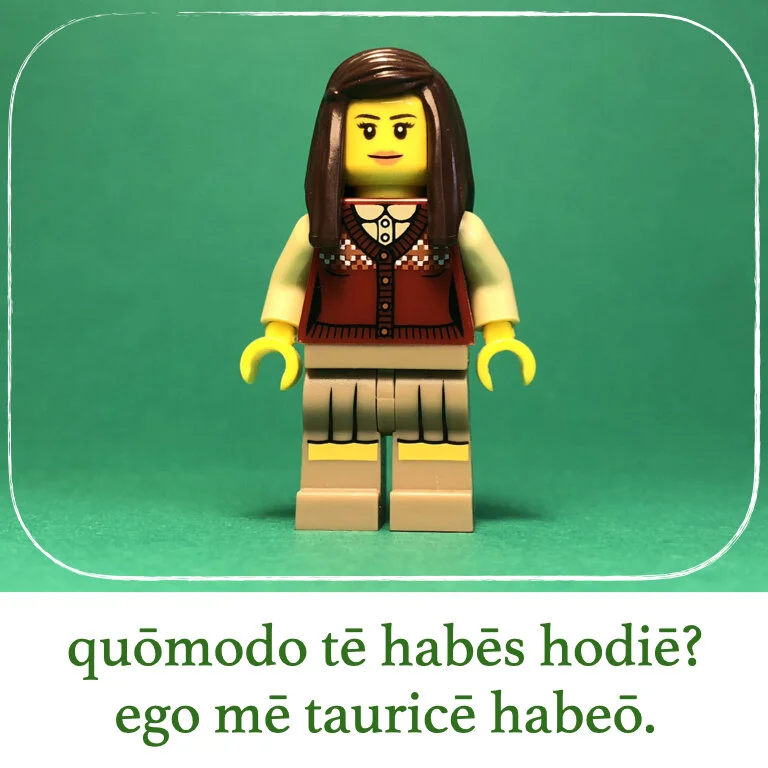 homines Legonii 9 - Marcellus (macrons).007.jpeg