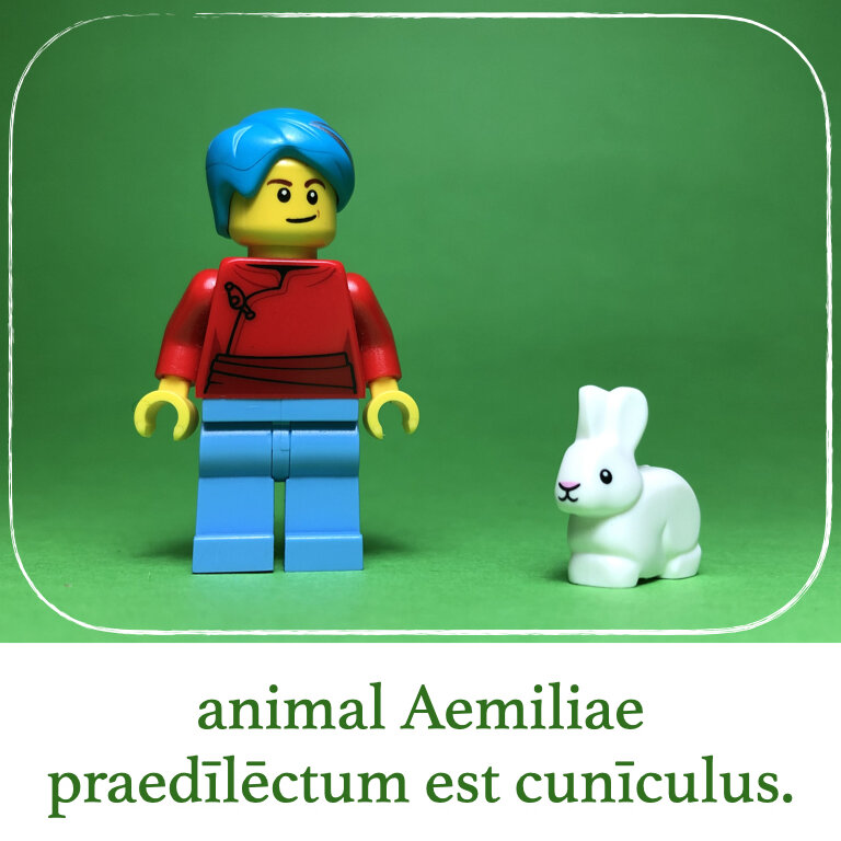 homines Legonii 10 - Aemilia (macrons).011.jpeg