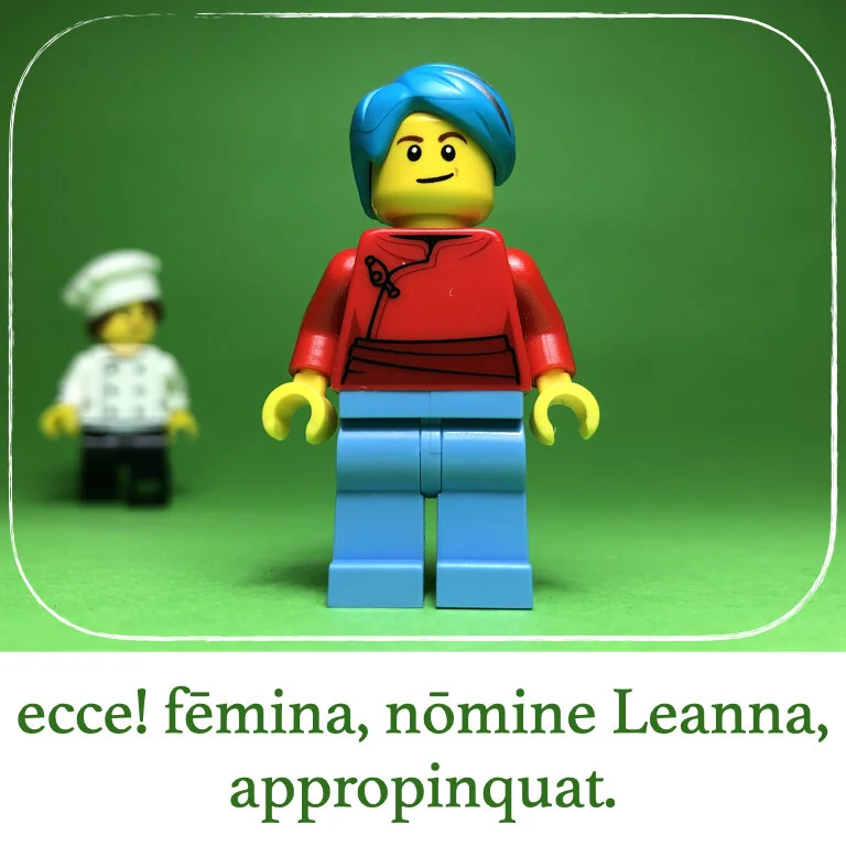homines Legonii 10 - Aemilia (macrons).013.jpeg