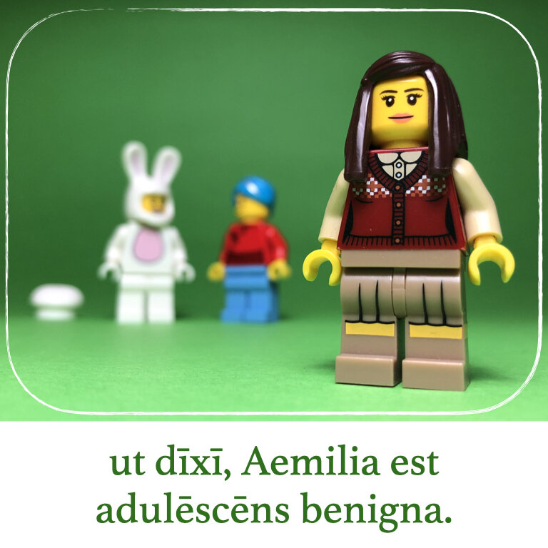 homines Legonii 10 - Aemilia (macrons).019.jpeg