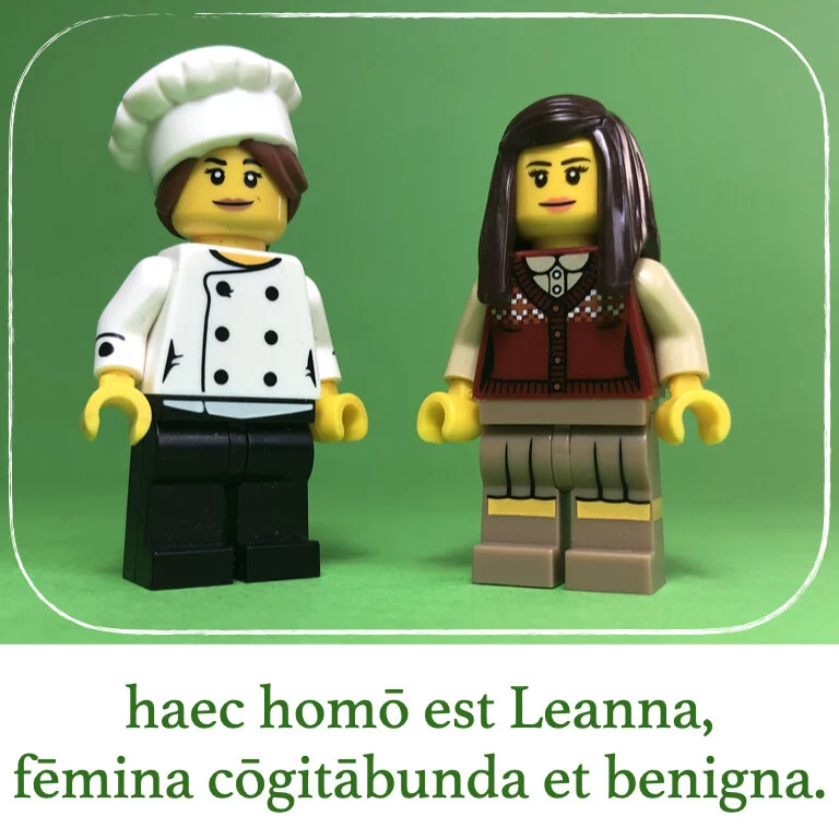 homines Legonii 11 - Leanna (macrons).009.jpeg