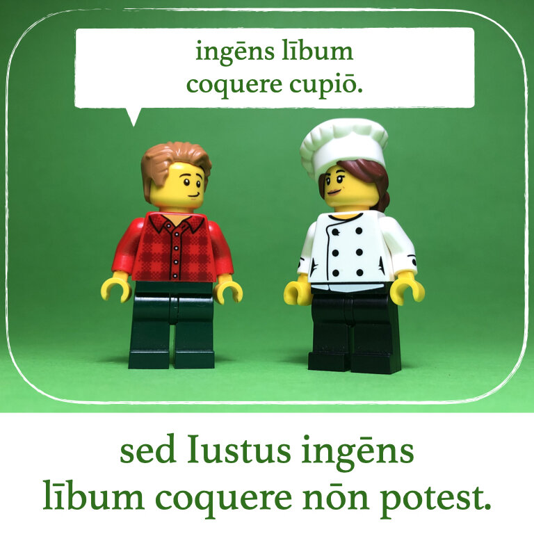 homines Legonii 11 - Leanna (macrons).015.jpeg