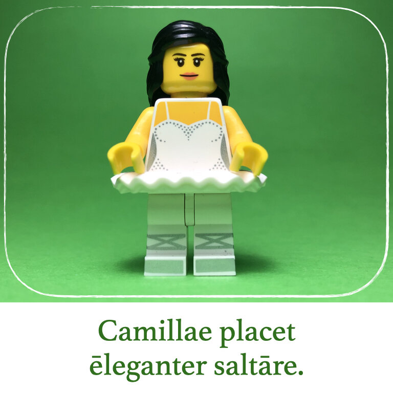 homines Legonii 13 - Camilla (macrons).012.jpeg