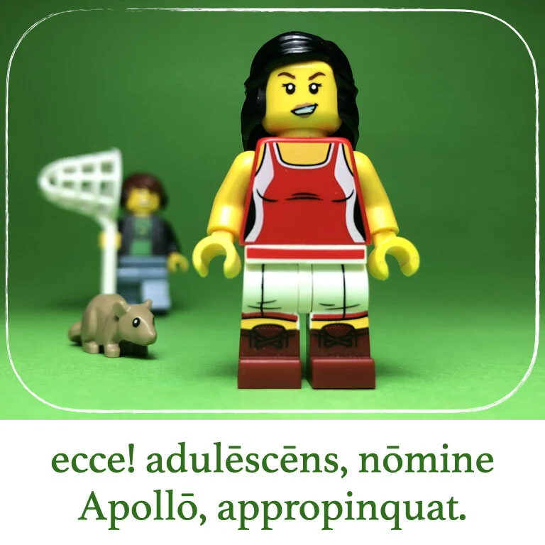 homines Legonii 13 - Camilla (macrons).013.jpeg