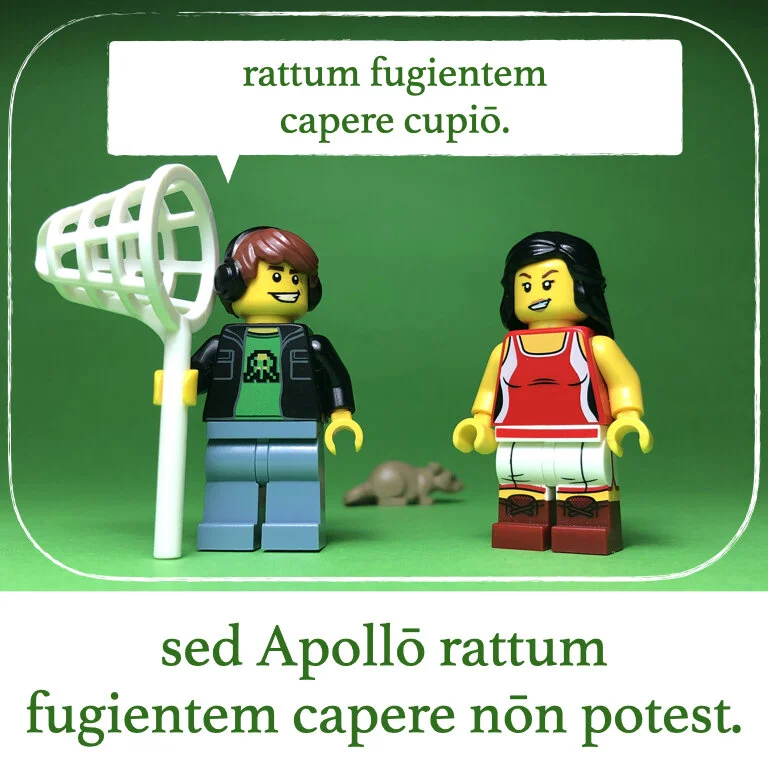 homines Legonii 13 - Camilla (macrons).015.jpeg