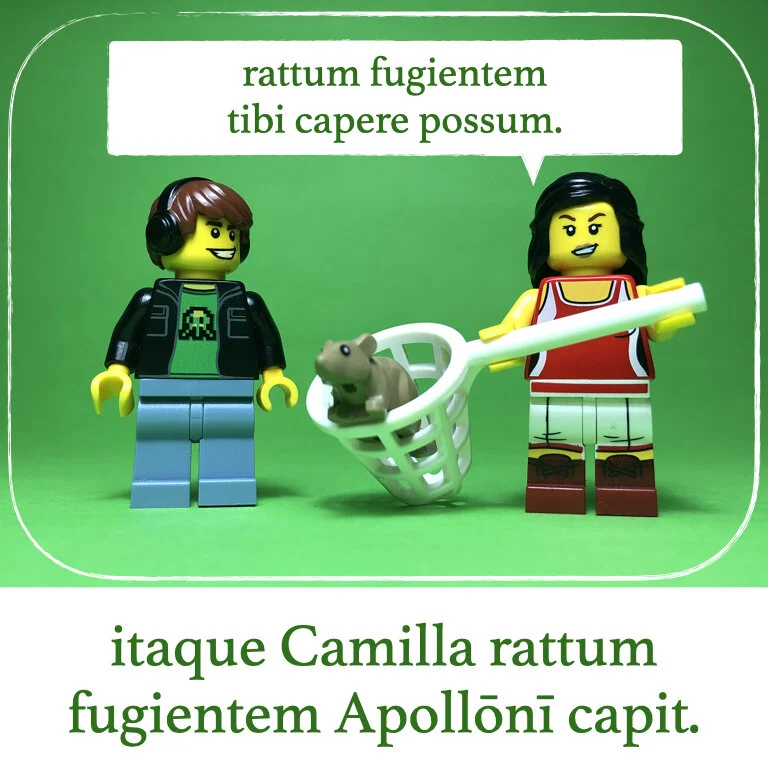 homines Legonii 13 - Camilla (macrons).016.jpeg